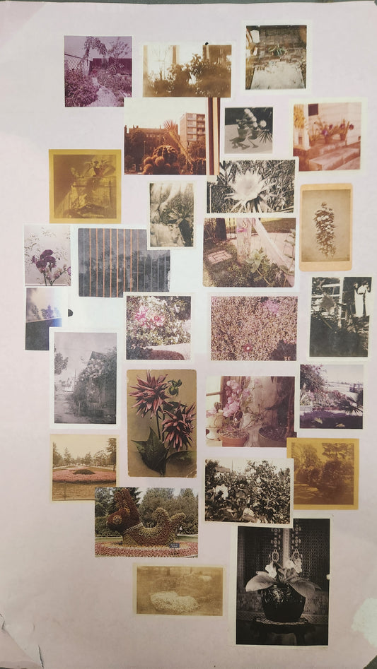 94 Blossoms: Randi Malkin Steinberger poster (2-sided)