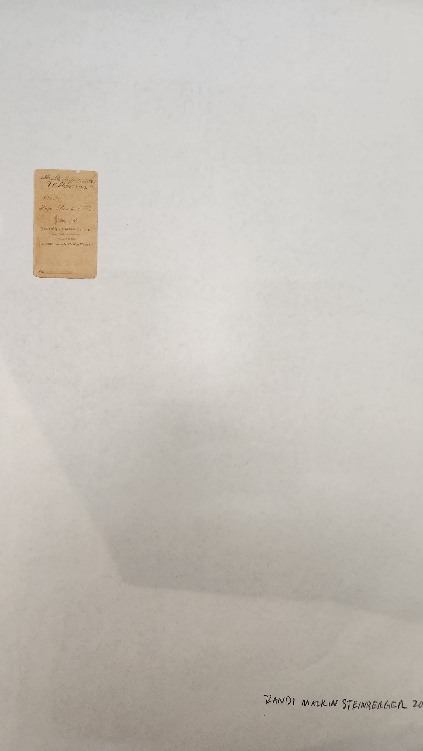 94 Blossoms: Randi Malkin Steinberger poster (2-sided)