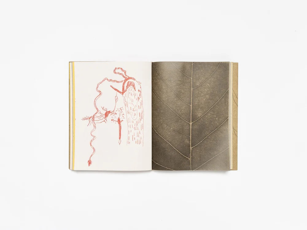 Cecilia Vicuña: Deer Book Libro Venado