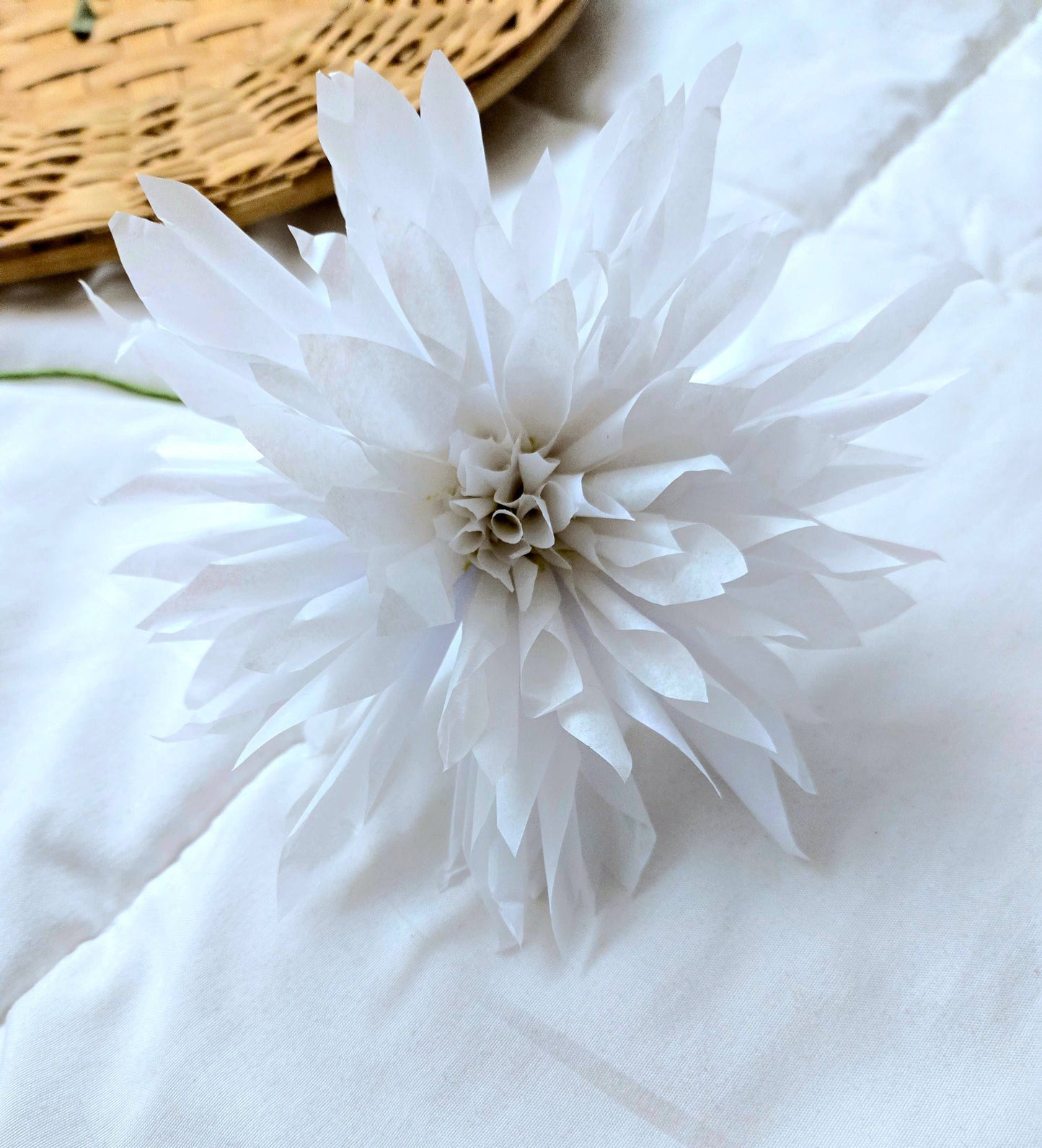 White Paper Dahlia Flower