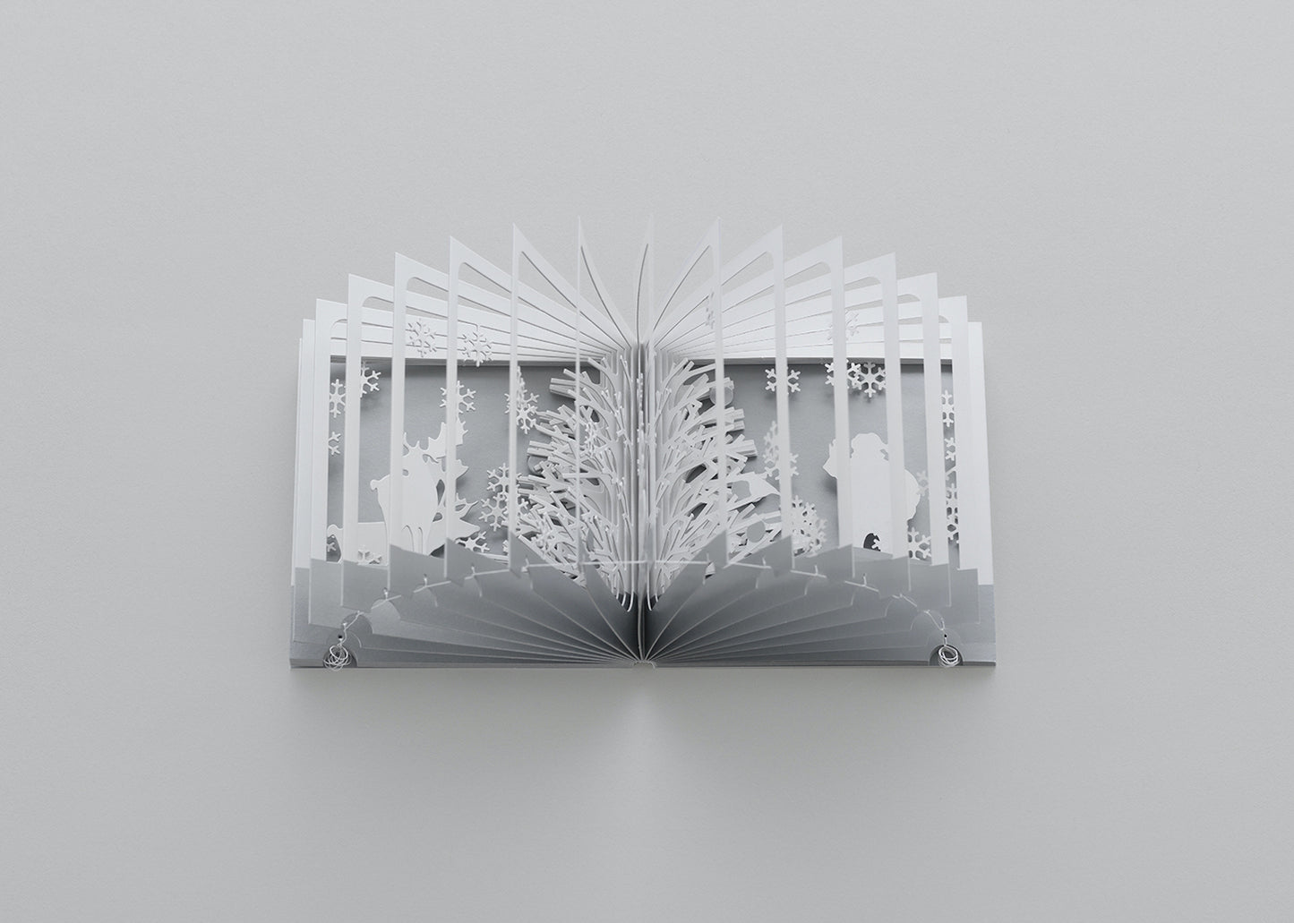360° Book Yusuke Oono