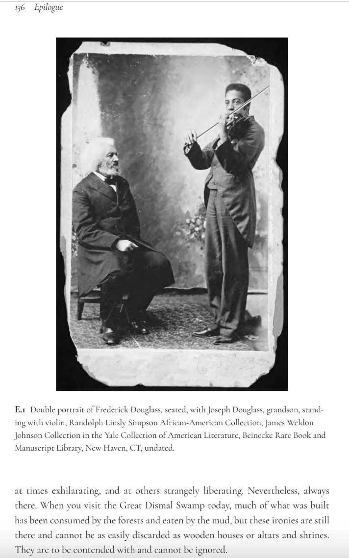 The Dark Delight of Being Strange : Black Stories of Freedom James B. Haile