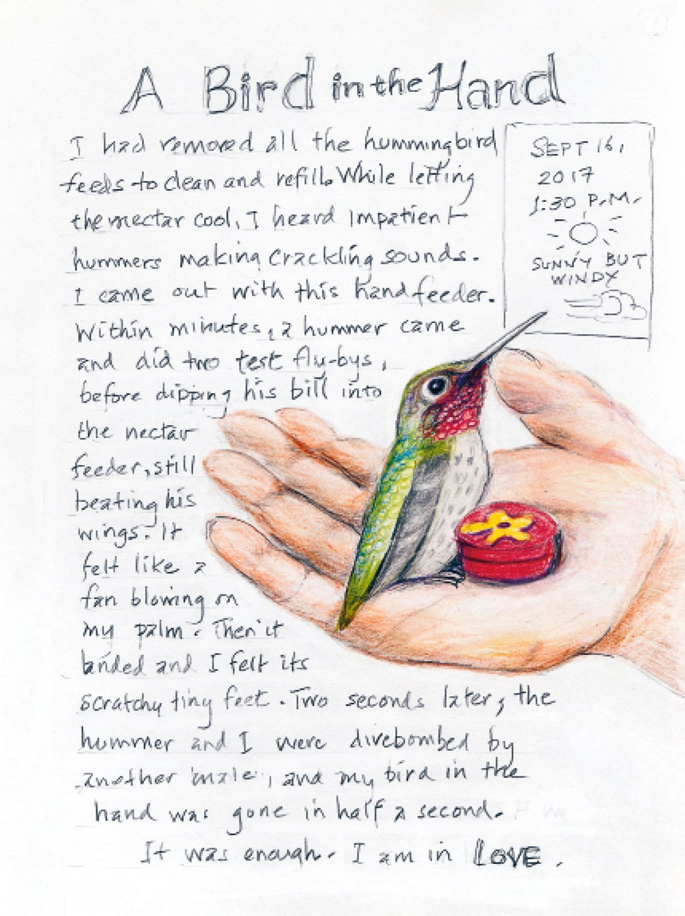 Backyard Bird Chronicles Amy Tan