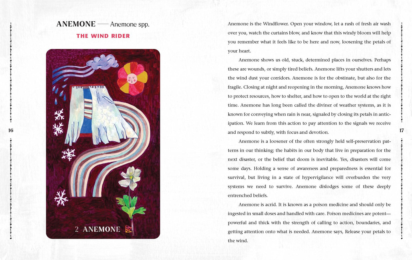 Dirt Gems Plant Oracle Deck and Guidebook