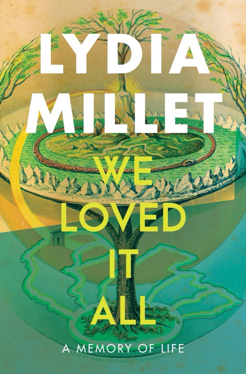 We Loved It All by Lydia Millet (paperback)