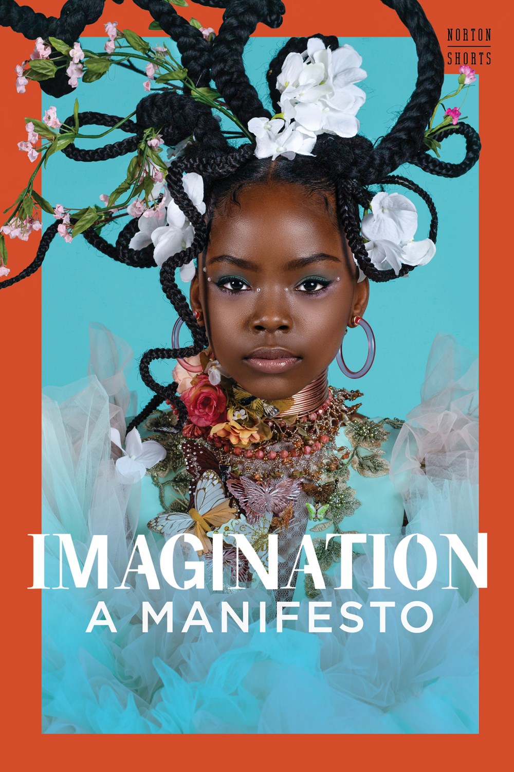 Imagination Ruha Benjamin (paperback)