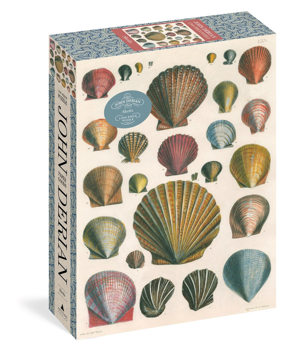 Puzzle John Derian : Shells 1000 pc