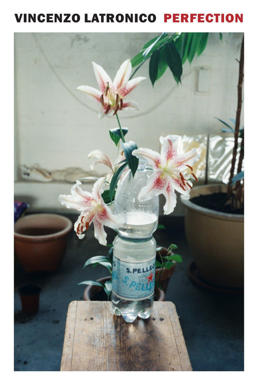 Perfection   Vincenzo Latronico