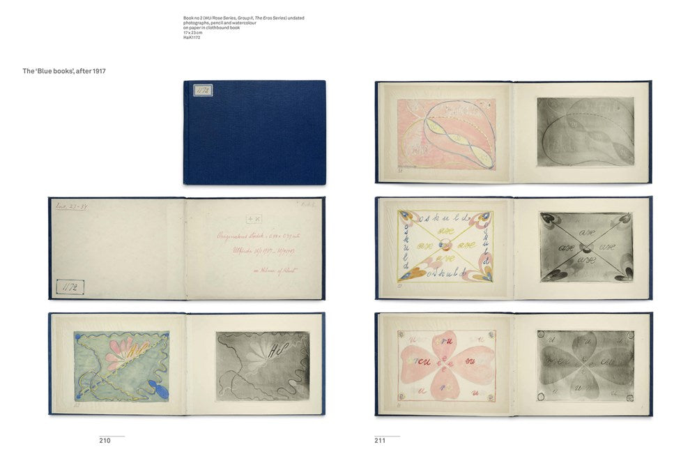 Hilma af Klint : The Secret Paintings