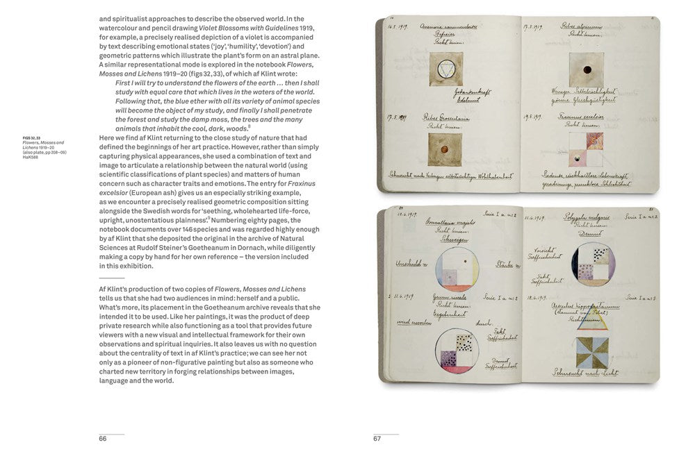 Hilma af Klint : The Secret Paintings