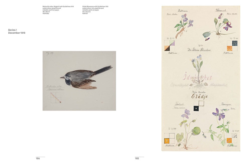 Hilma af Klint : The Secret Paintings