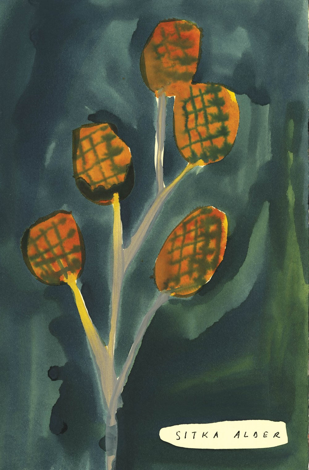 The Native Trees of Canada Leanne Shapton