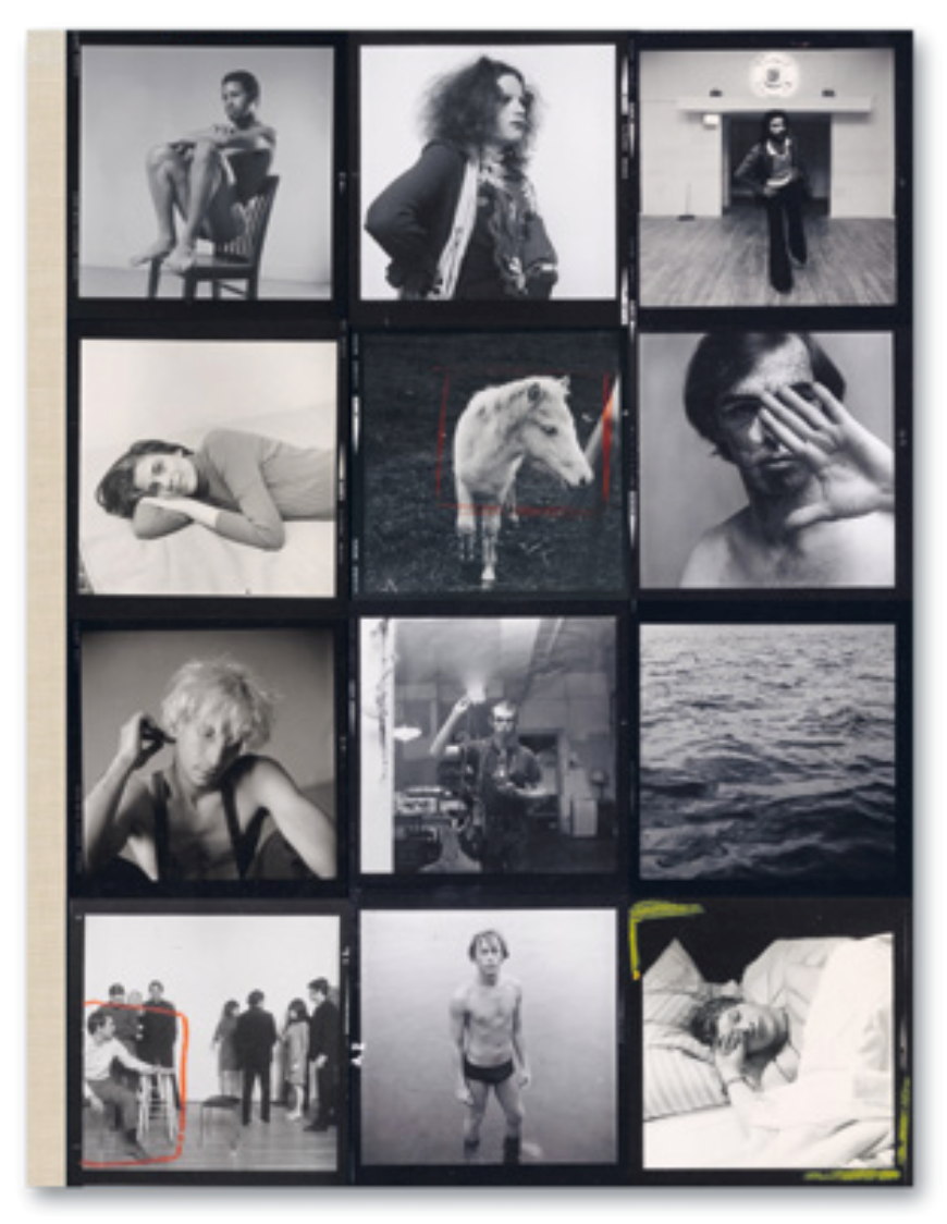 Hujar: Contact