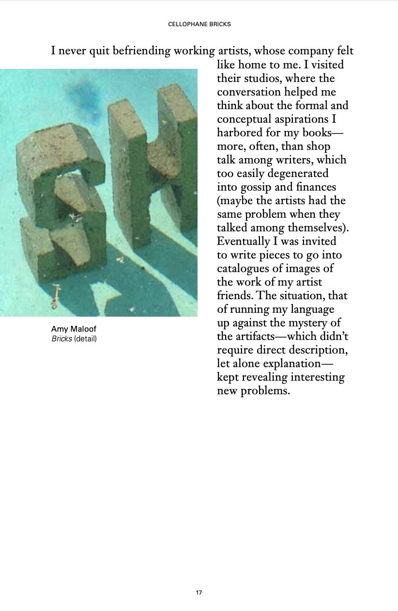 Cellophane Bricks: A Life in Visual Culture (ZE #5) --signed copy