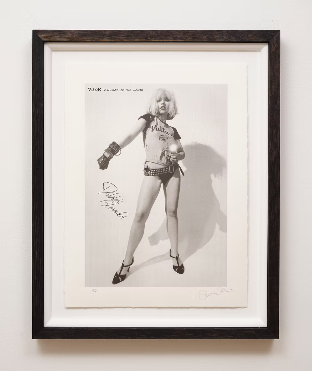 PUNK 50: Chris Stein Photos