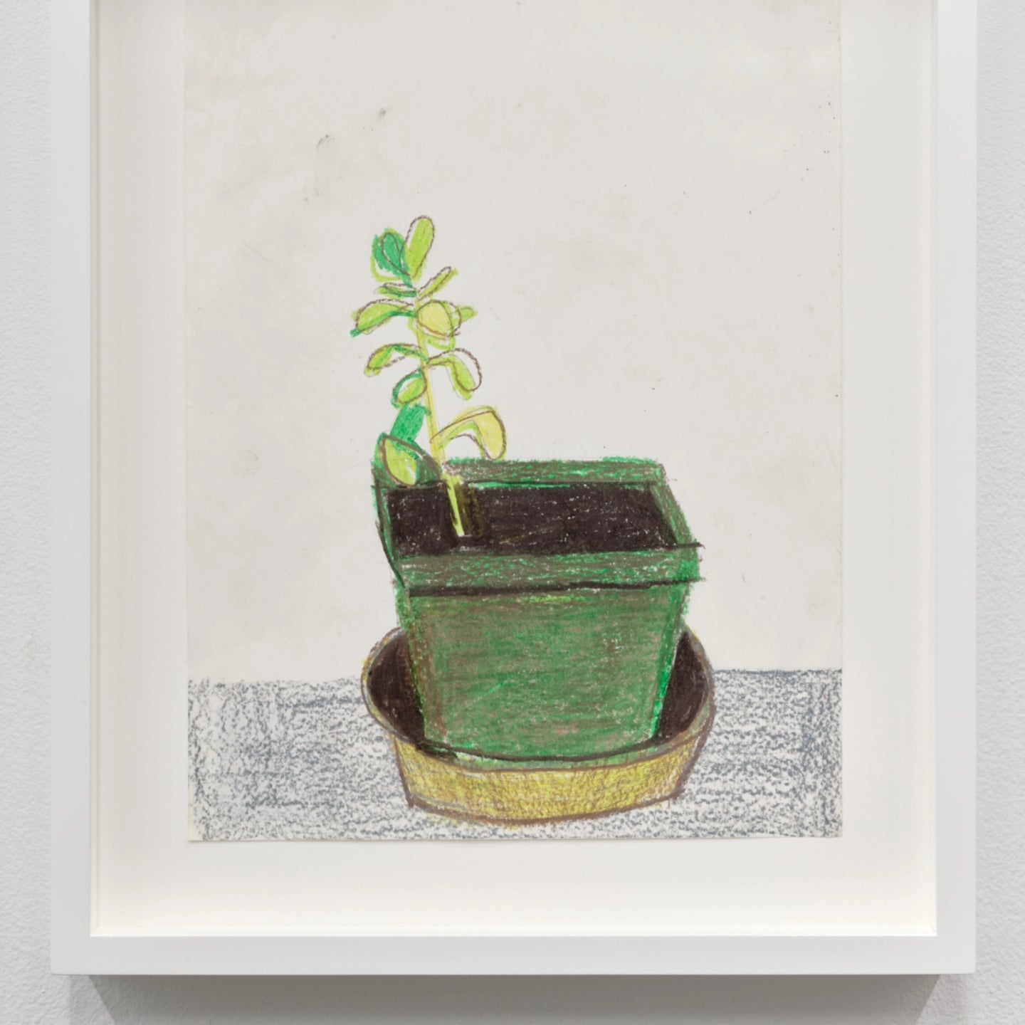 JONAS WOOD: Drawings