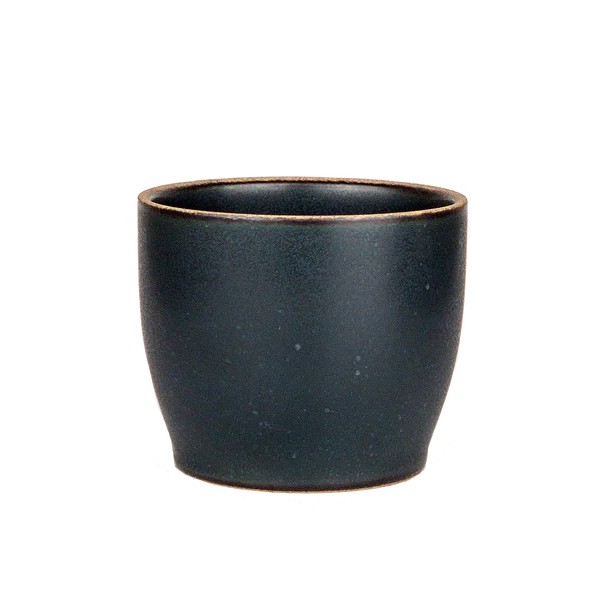 Tumbler Nori Kinto 200ml/7oz