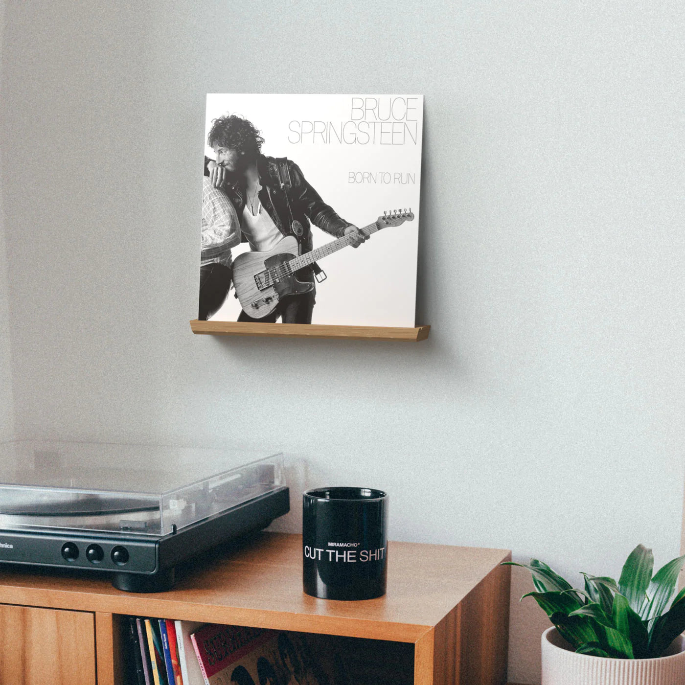 Vinyl Record Display Wall Mount