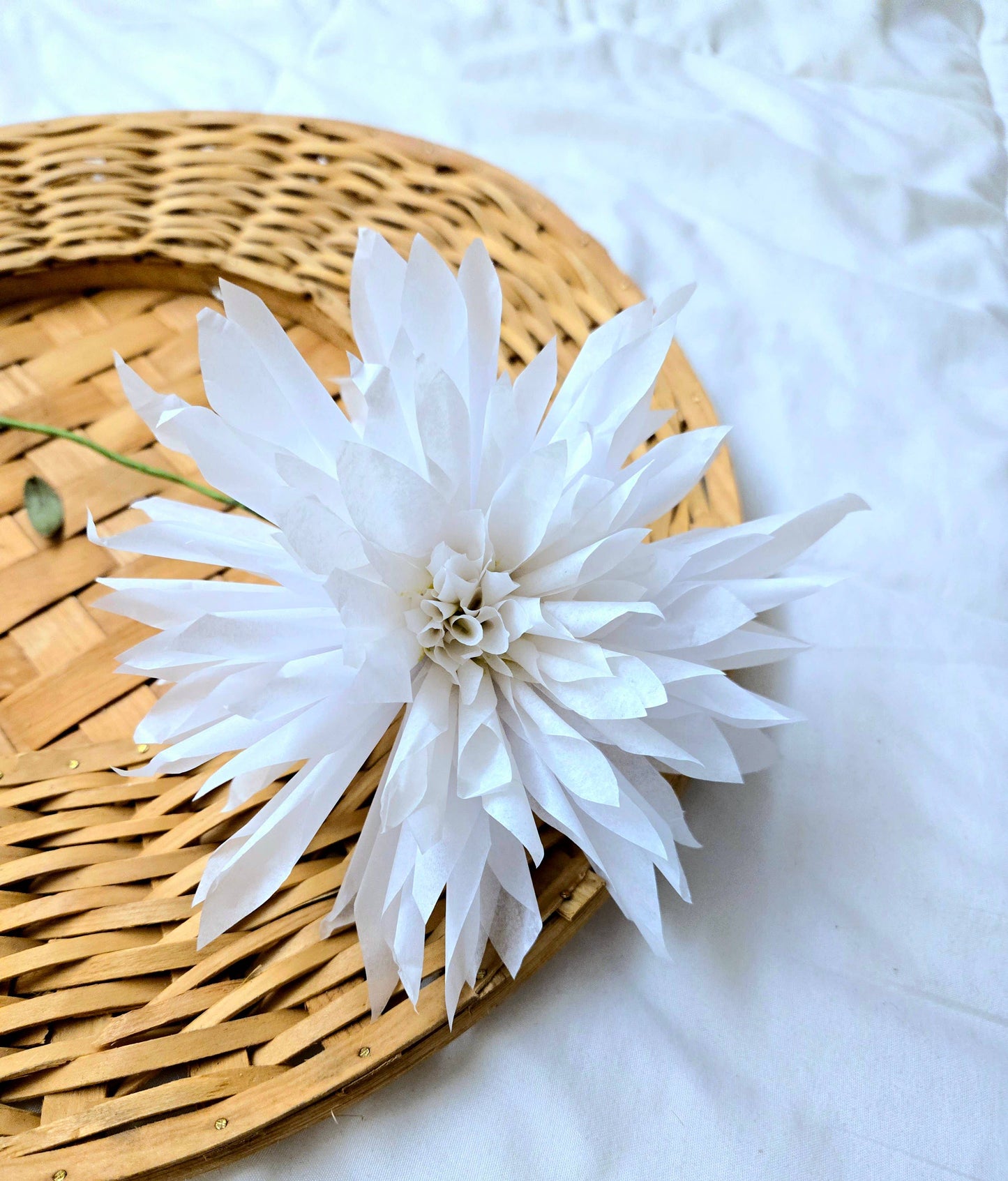 White Paper Dahlia Flower