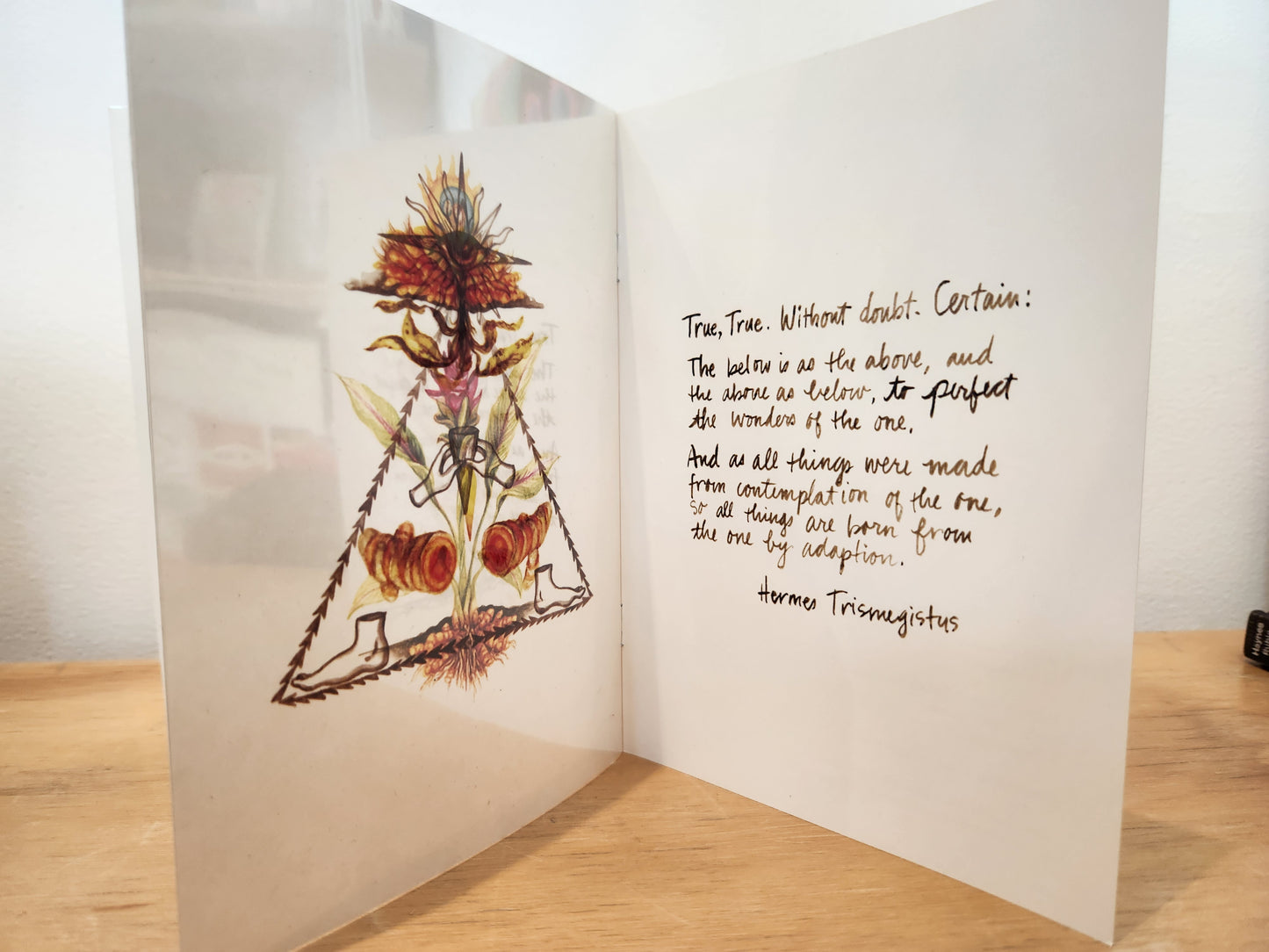 The Golden Root: A Turmeric Hermeticum by Alison Pebworth