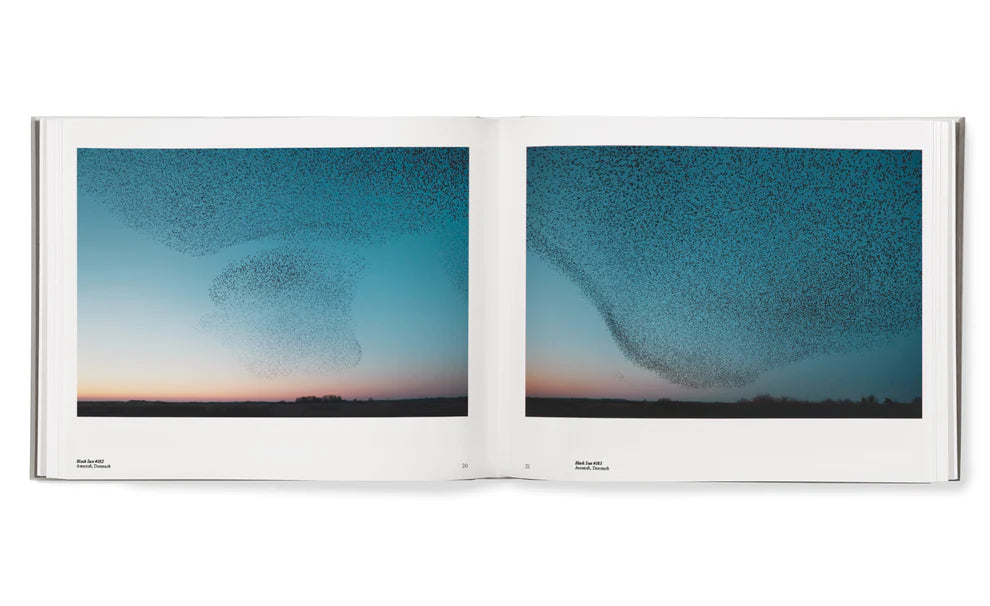 Søren Solkær: Starling
