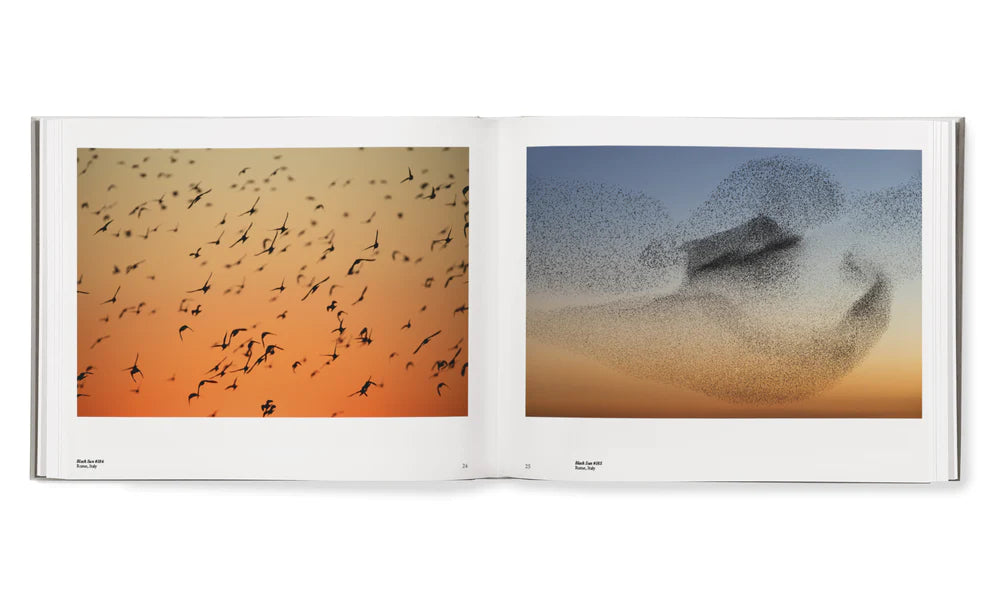 Søren Solkær: Starling