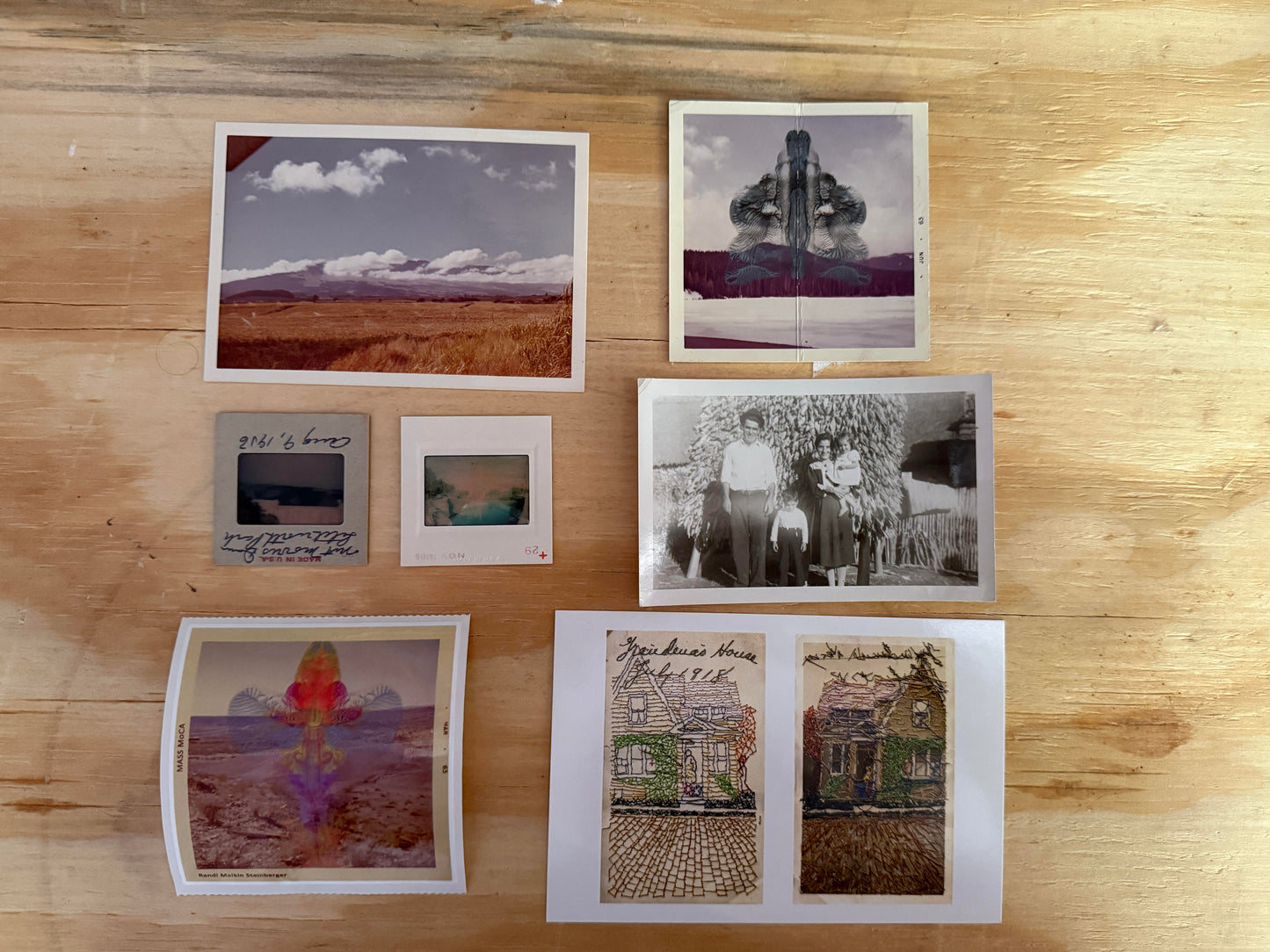 Randi Malkin Steinberger Fun Pack