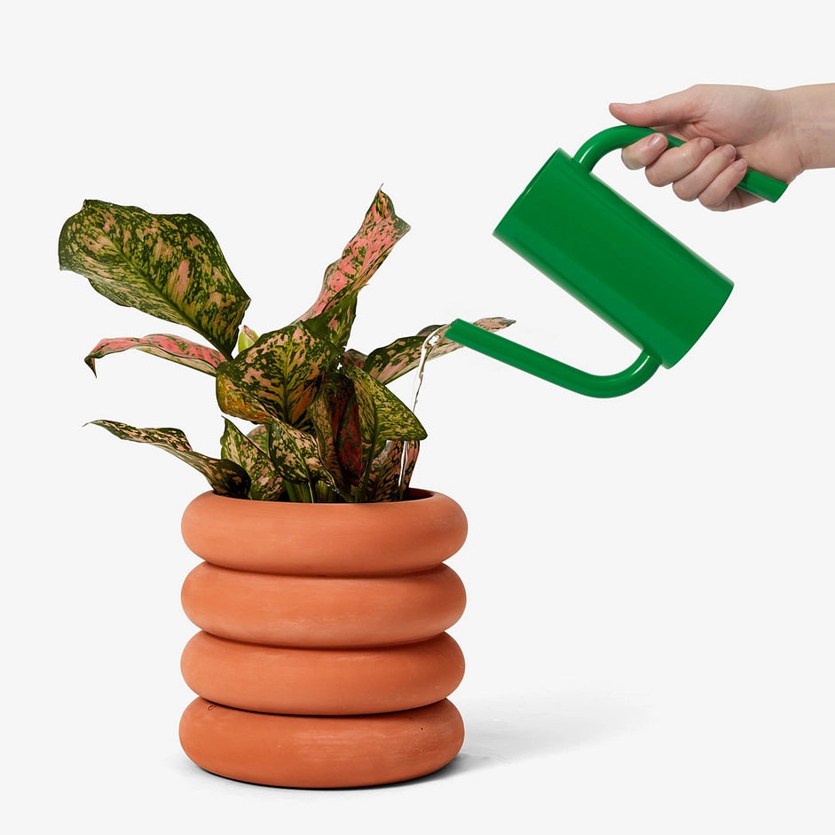 Tango Watering Can