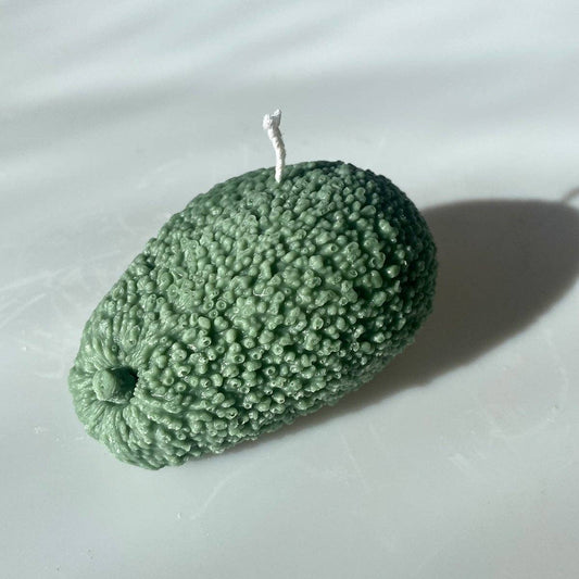 Avocado Candle: Green / Sea Salt & Orchid / Single Avo