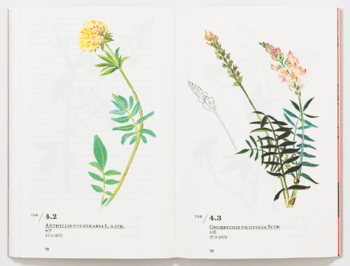 Ernesto Schick - Railway Flora