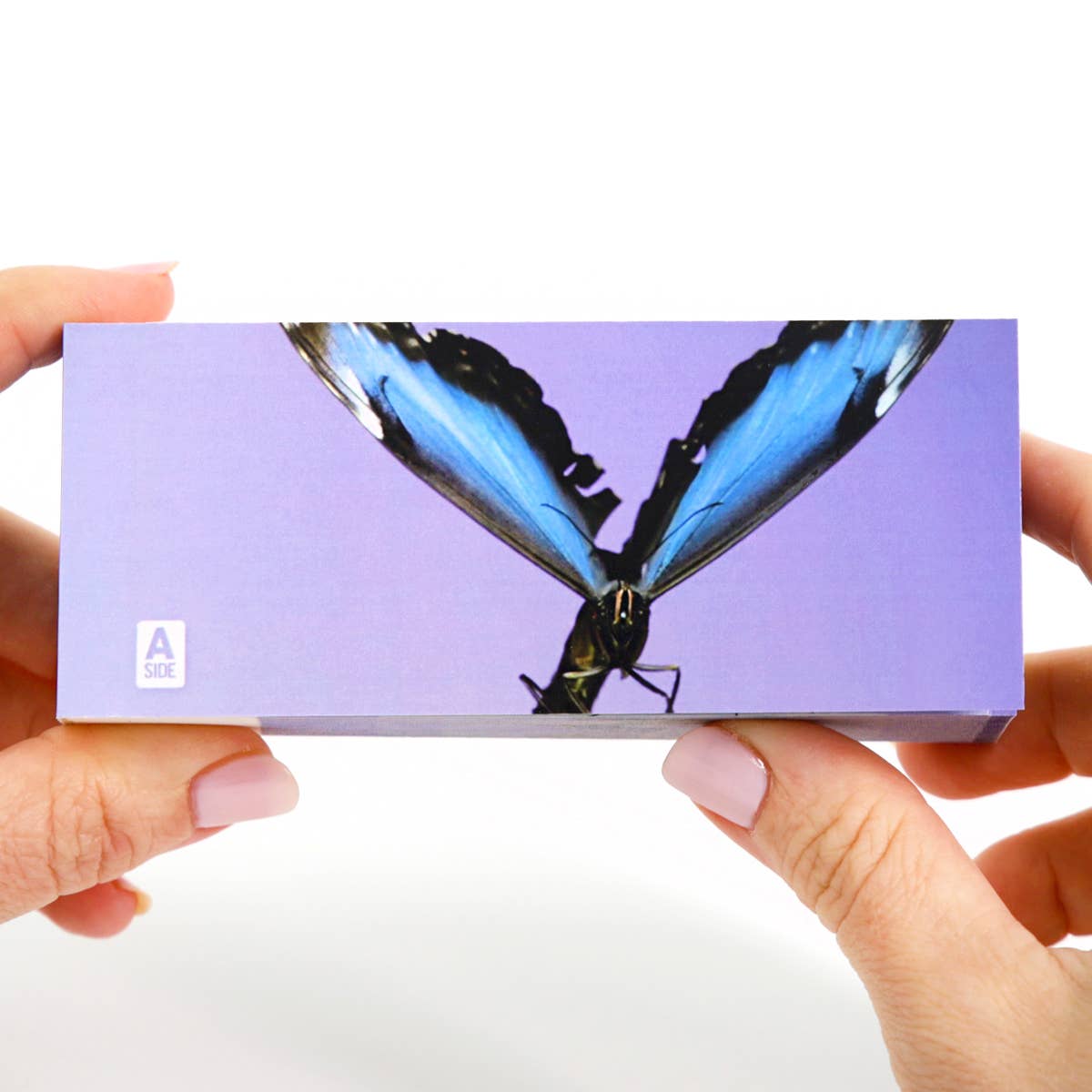 Butterflies Flipbook