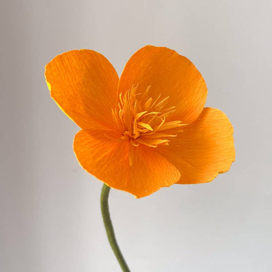California Poppy Crepe Paper Flower: Magenta