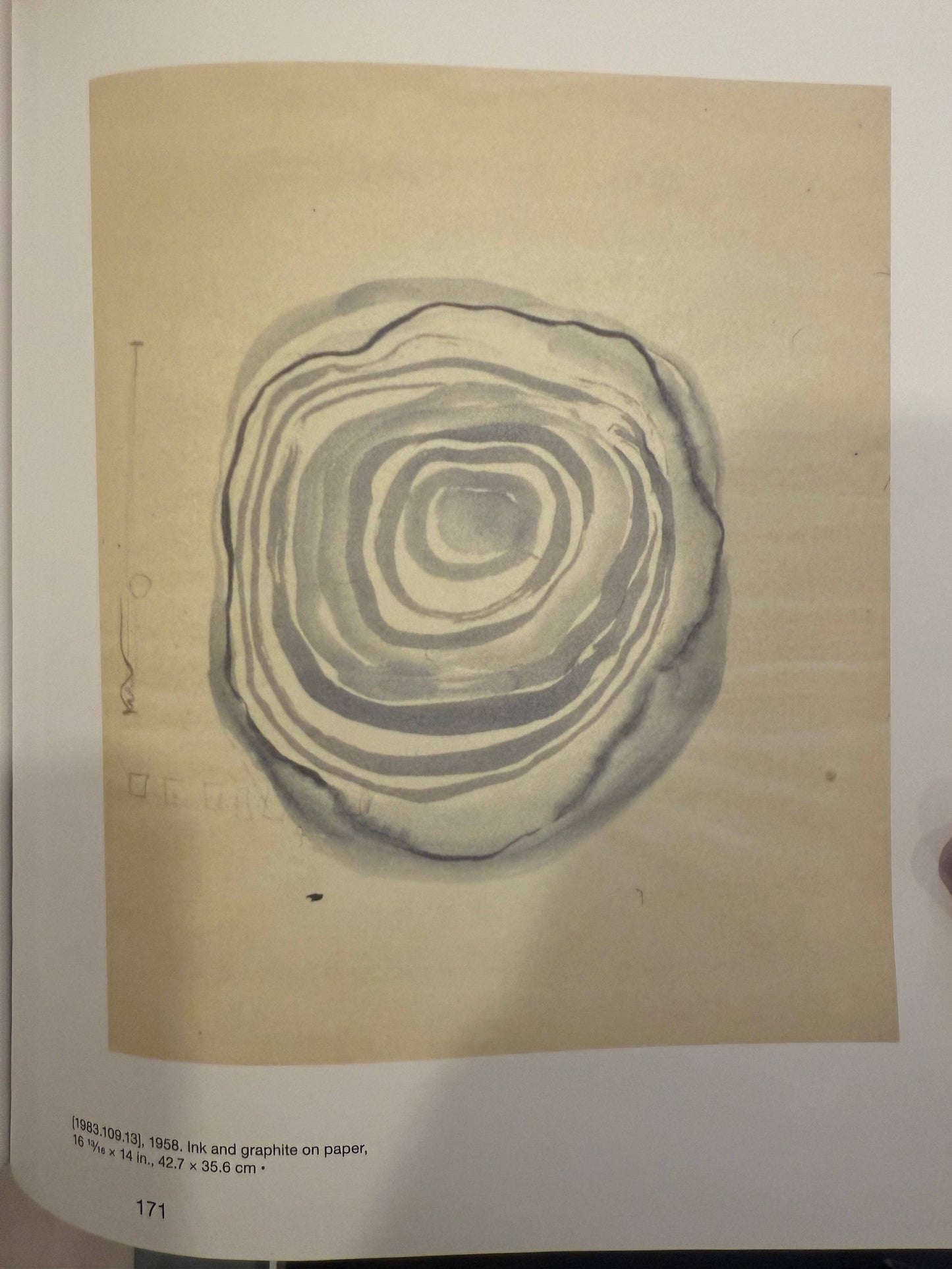 Eva Hesse at Oberlin: Visible Mending Transfers