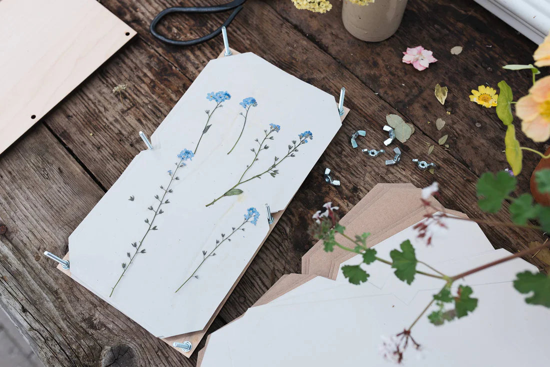 XL Flower Press - Vintage Poppy by Studio Wald