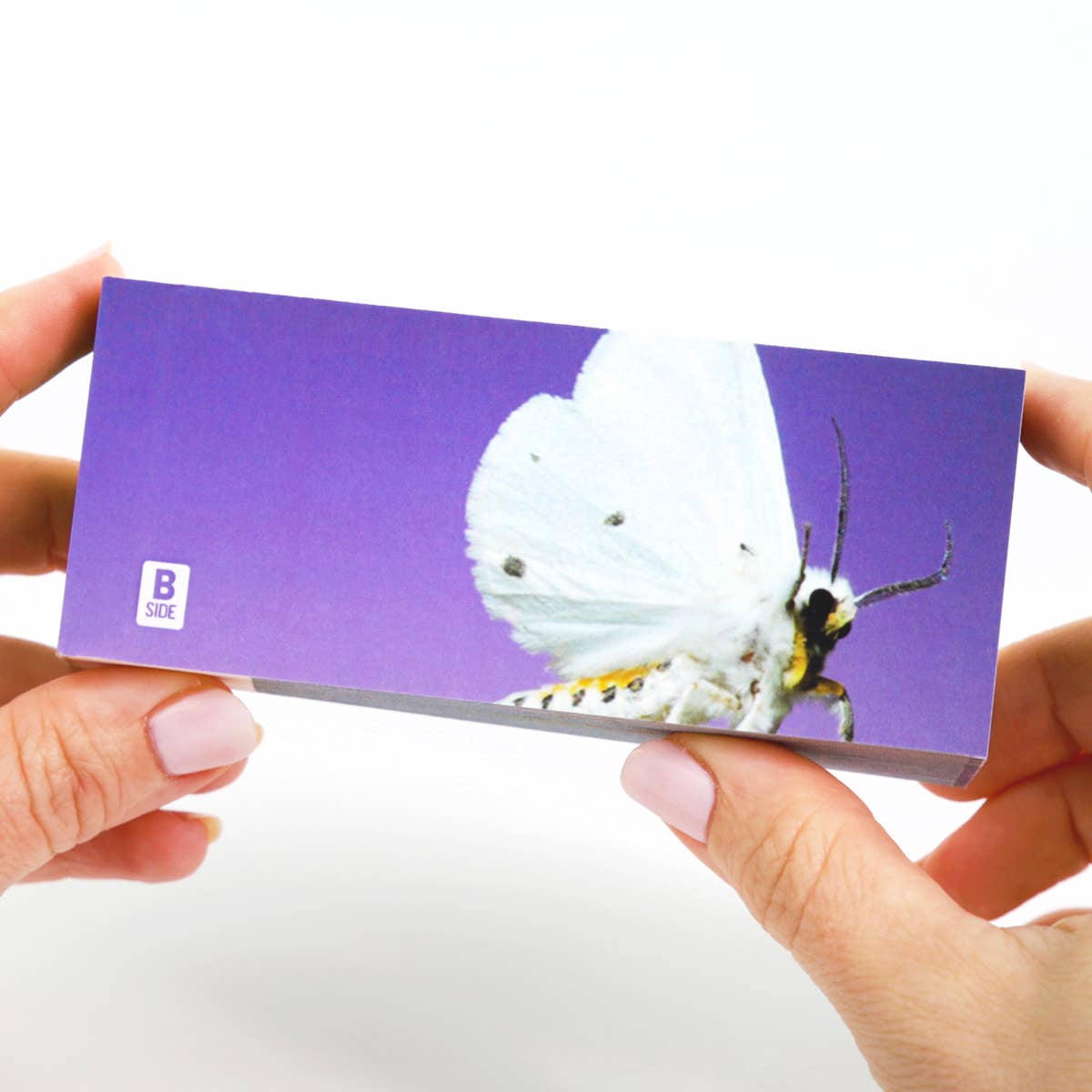 Moths Flipbook