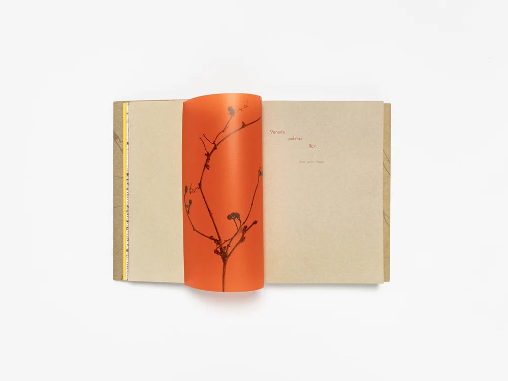 Cecilia Vicuña: Deer Book Libro Venado