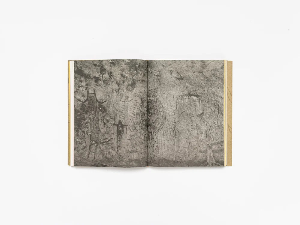 Cecilia Vicuña: Deer Book Libro Venado