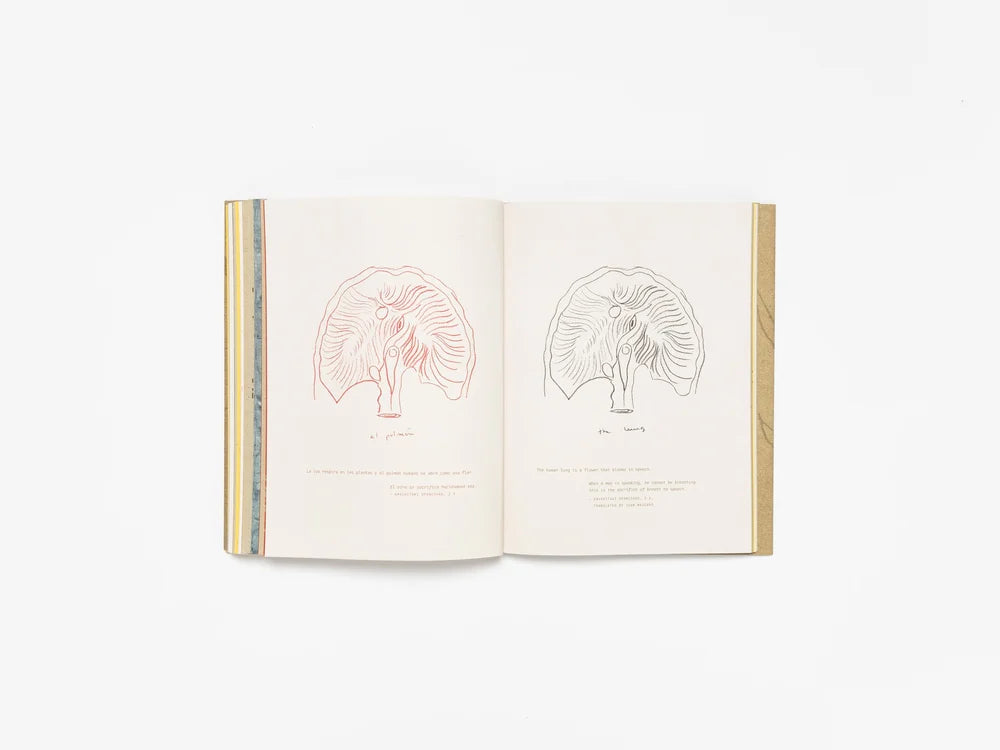 Cecilia Vicuña: Deer Book Libro Venado