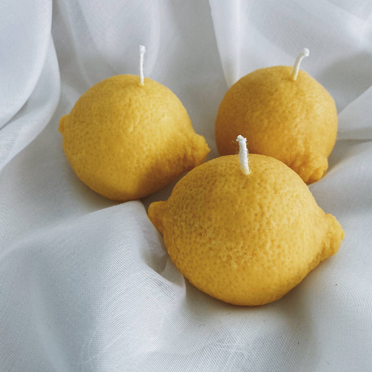 Lemon - Small Lemon / Citrus