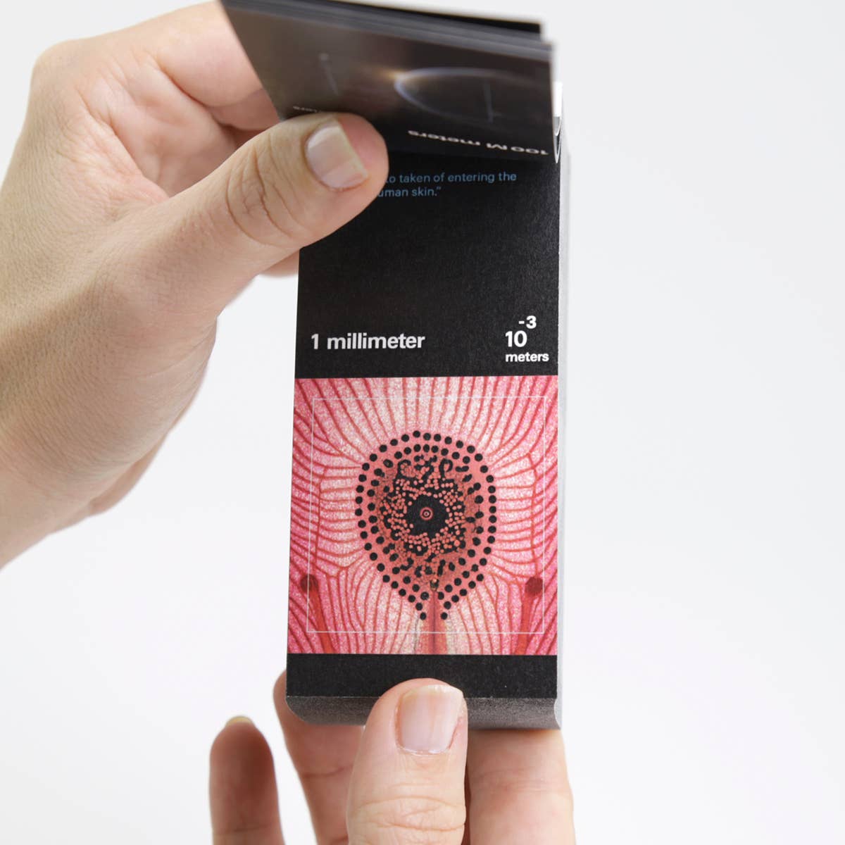 Powers of Ten Flipbook