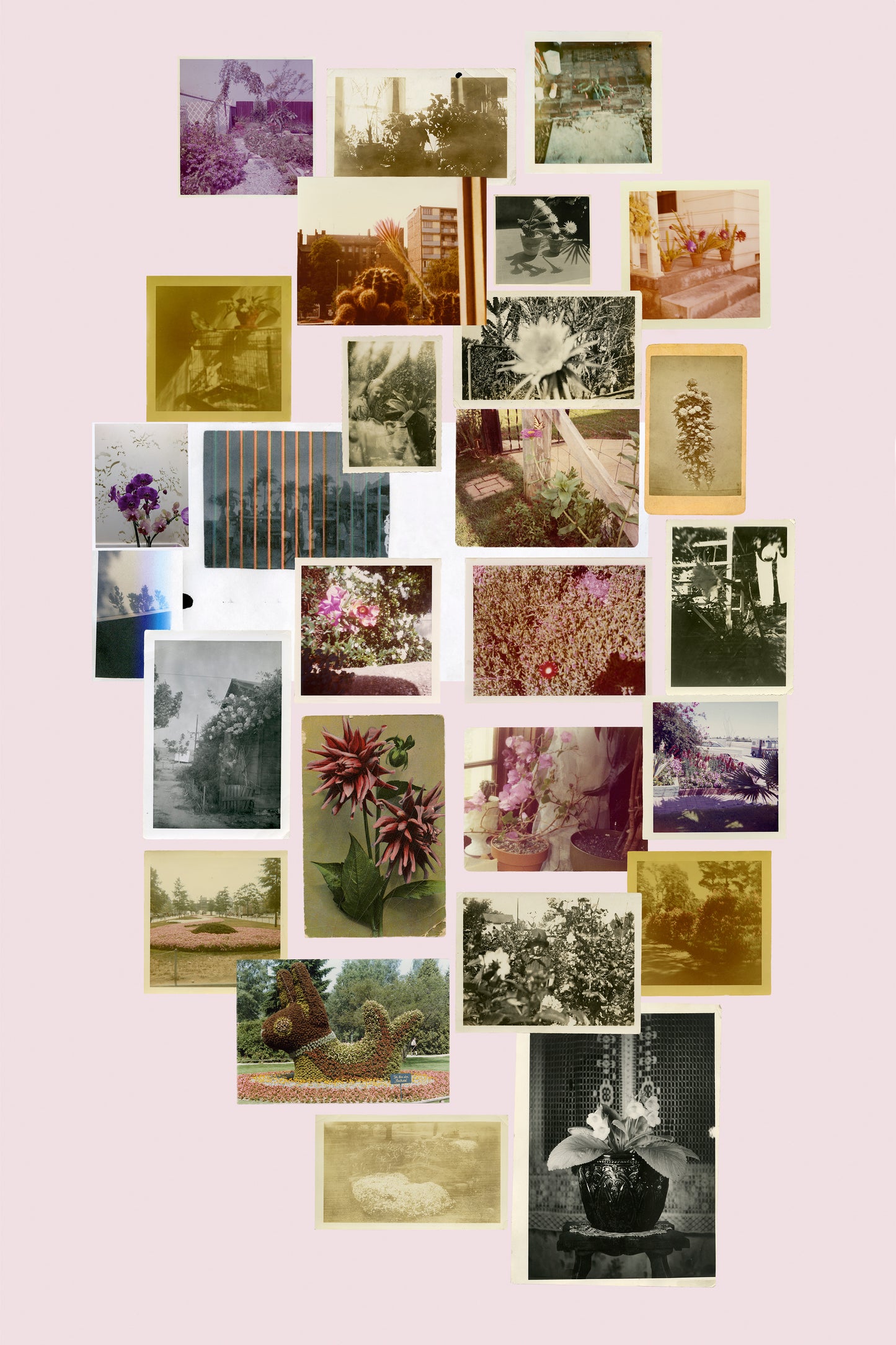 94 Blossoms: Randi Malkin Steinberger poster (2-sided)