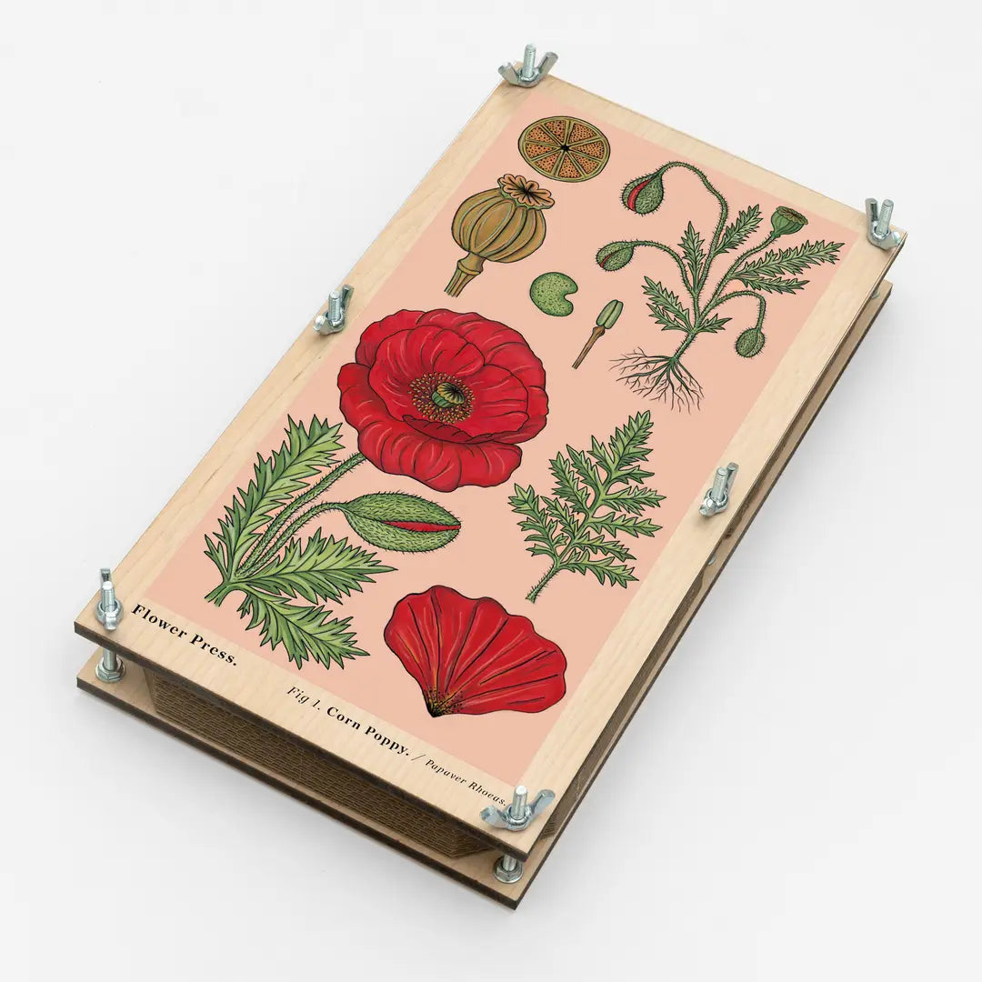 XL Flower Press - Vintage Poppy by Studio Wald