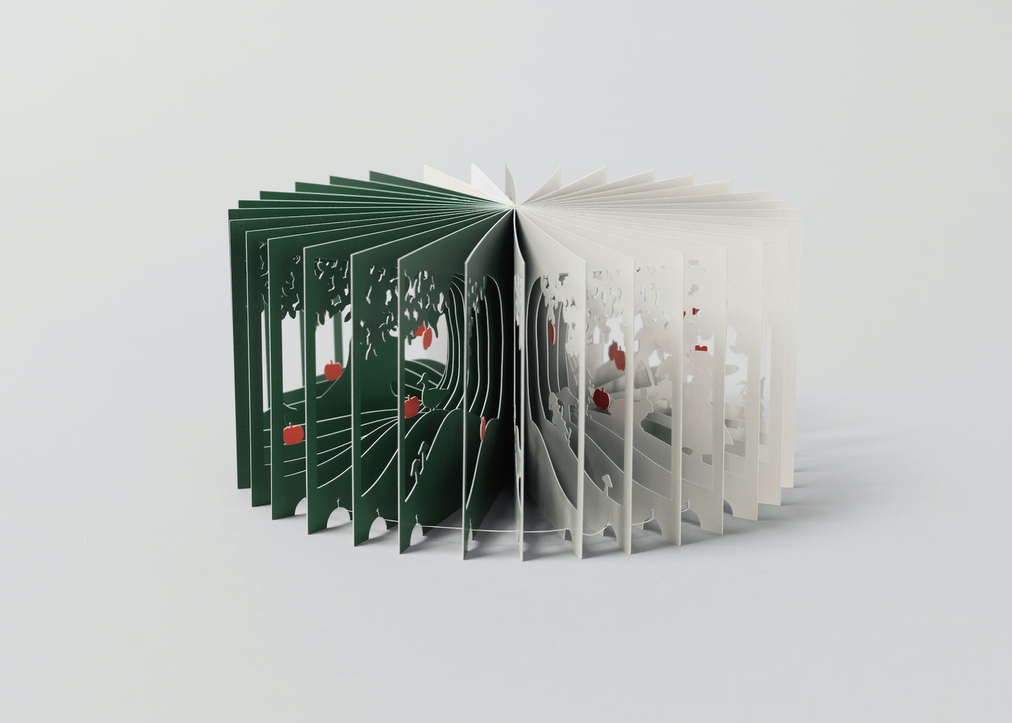 360° Book Yusuke Oono