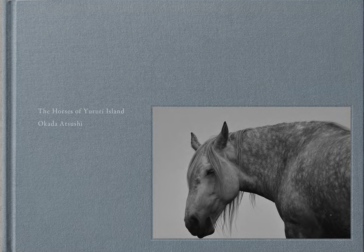 The Horses of Yururi Island Okada Atsushi