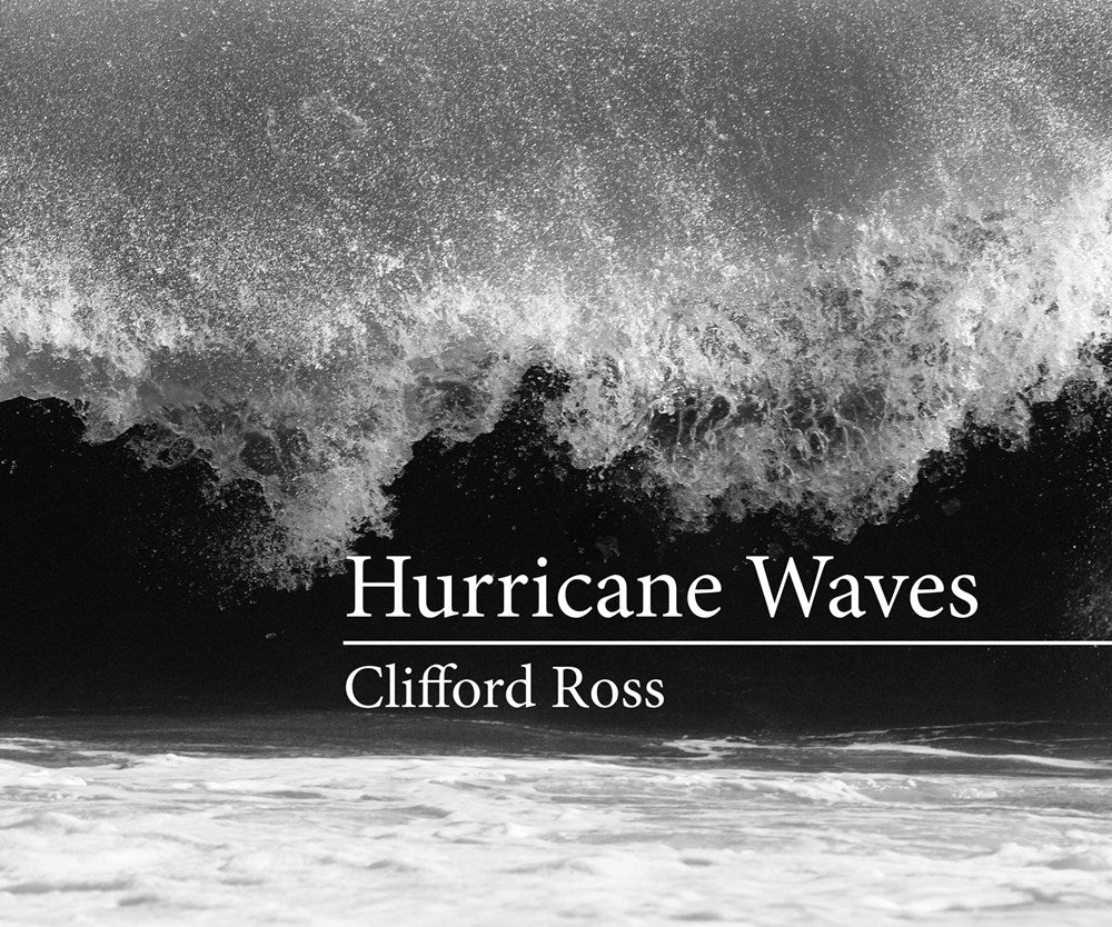 Clifford Ross Hurricane Waves