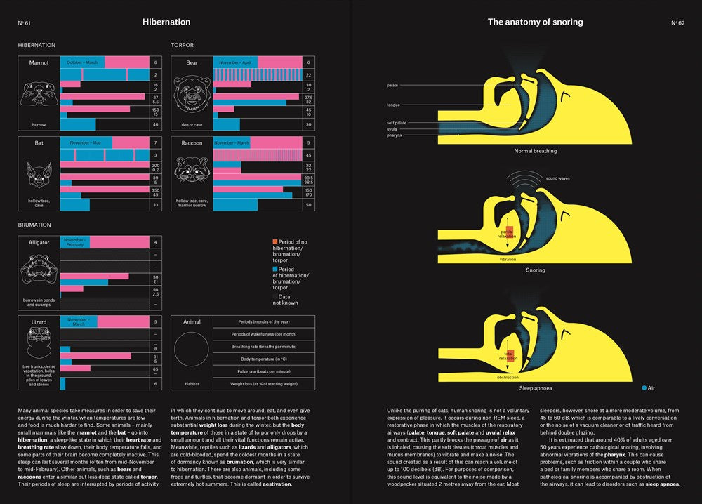 Phenomena : An Infographic Guide to Almost Everything