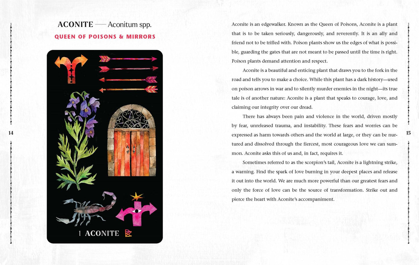 Dirt Gems Plant Oracle Deck and Guidebook