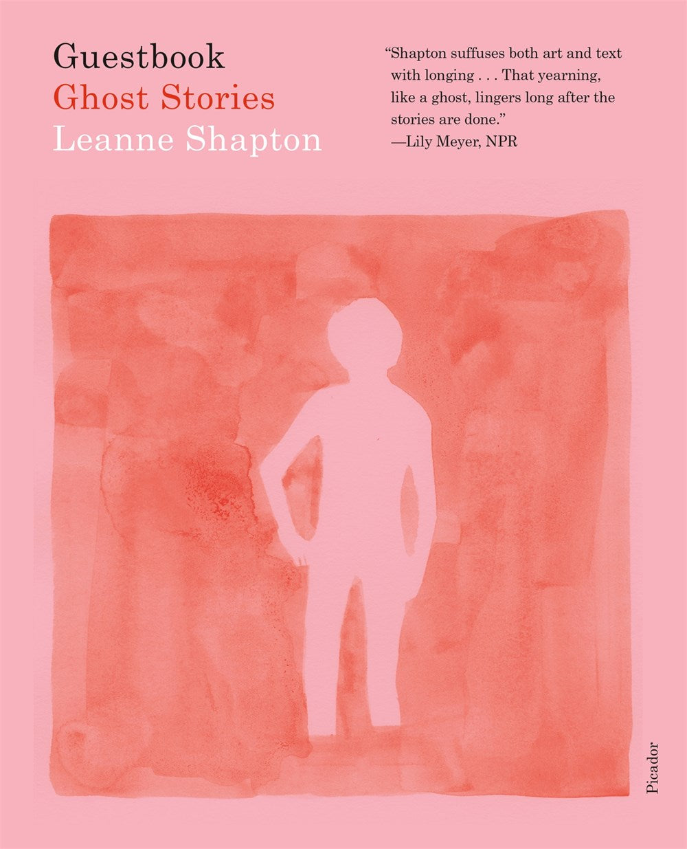 Guestbook : Ghost Stories ﻿Leanne Shapton