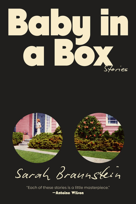 Baby in a Box: Stories  Sarah Braunstein