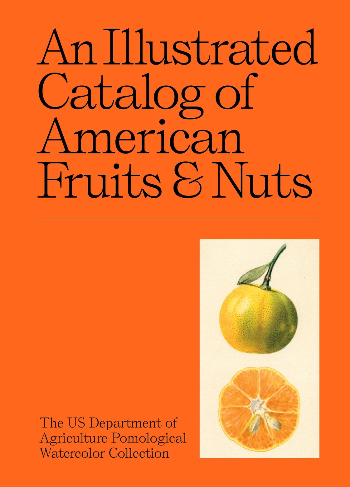 Illustrated Catalog of American Fruits & Nuts